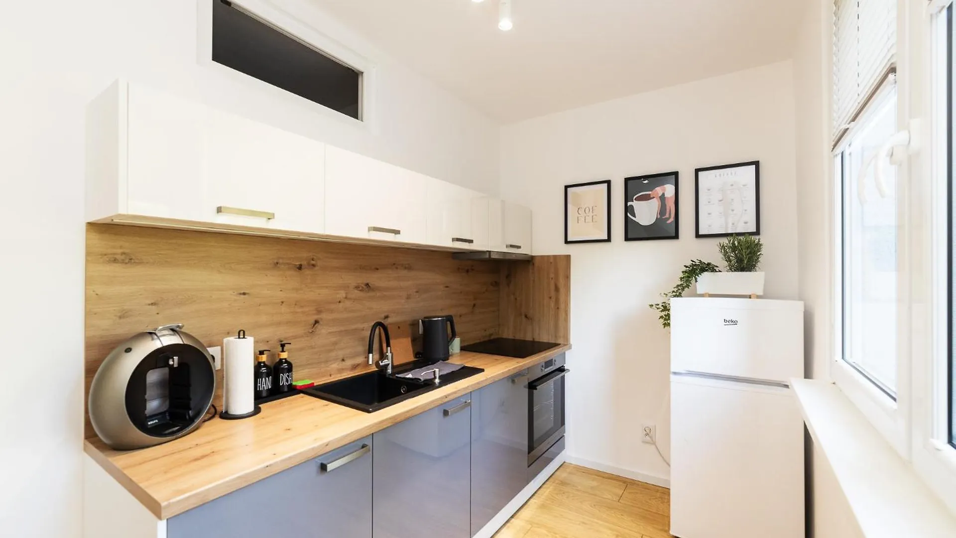 Apartment Moderni Byt S Primym Vstupem Do Parku V Centru Ostravy Ostrava Czech Republic